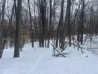 9980 Red Deer #577, Canadian Lakes, MI 49346