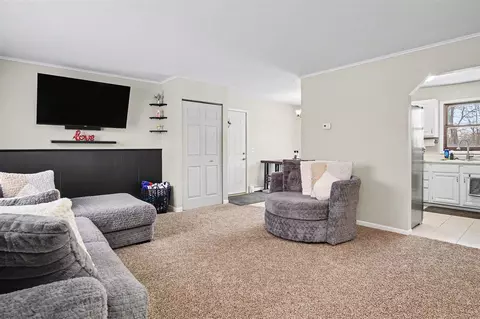 Other - 339 S Vine, Stanton, MI 48888 photo 1 of 9