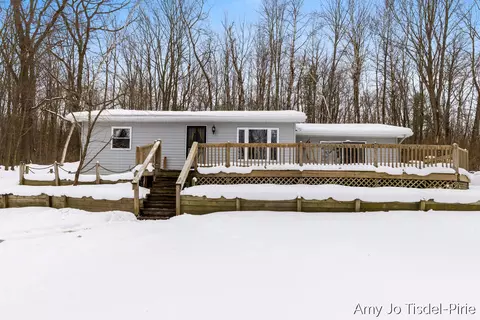 8411 Spring, Stanton, MI 48888