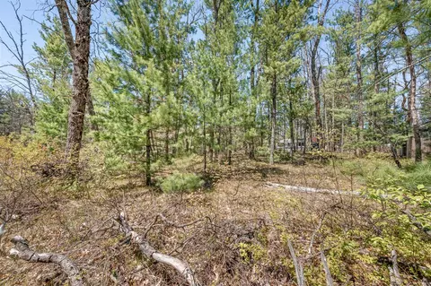 V/l Newbern Blvd, Baldwin, MI 49304 photo 3