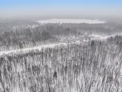 Nadeau, Pullman, MI 49450 photo 9