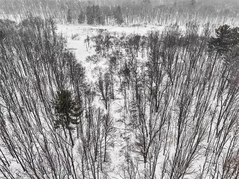 Nadeau, Pullman, MI 49450 photo 14