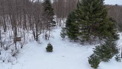V/l 17 Mile Rd, Leroy, MI 49655