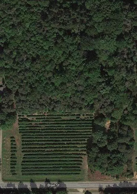 V/l Blair, West Olive, MI 49460