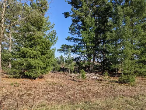 Bergstrom, Kaleva, MI 49645 photo 13