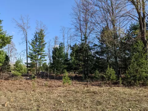 Bergstrom, Kaleva, MI 49645 photo 15
