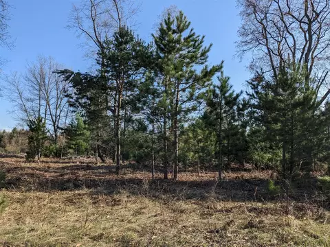 Bergstrom, Kaleva, MI 49645 photo 17