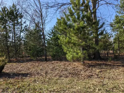 Bergstrom, Kaleva, MI 49645 photo 16