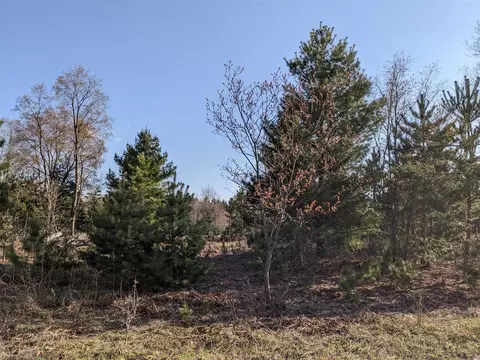 Bergstrom, Kaleva, MI 49645 photo 19