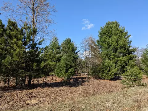 Bergstrom, Kaleva, MI 49645 photo 6