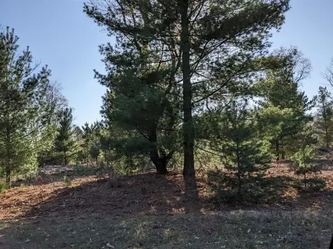 Bergstrom, Kaleva, MI 49645 photo 12