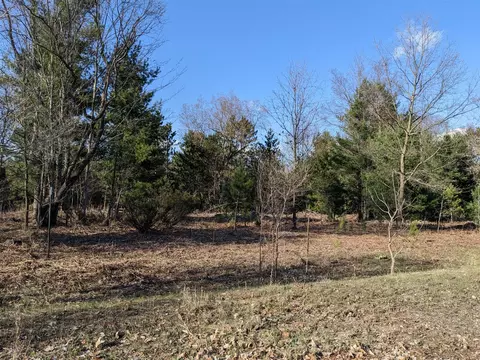 Bergstrom, Kaleva, MI 49645 photo 3