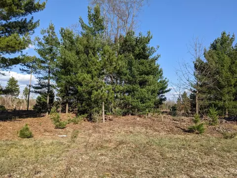 Bergstrom, Kaleva, MI 49645 photo 11