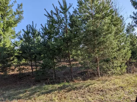 Bergstrom, Kaleva, MI 49645 photo 8