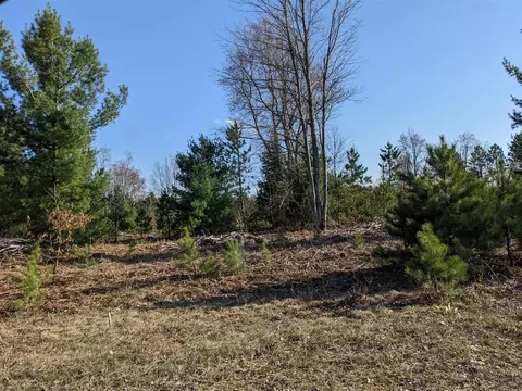 Bergstrom, Kaleva, MI 49645 photo 5