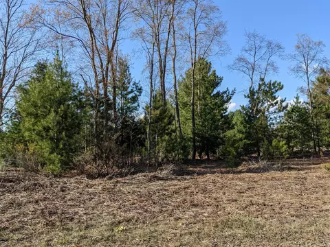 Bergstrom, Kaleva, MI 49645 photo 18