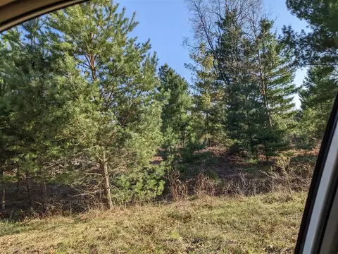 Bergstrom, Kaleva, MI 49645 photo 7