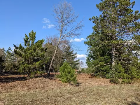 Bergstrom, Kaleva, MI 49645 photo 9