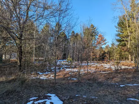 Bergstrom, Kaleva, MI 49645 photo 2