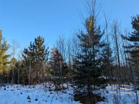 Bergstrom, Kaleva, MI 49645 photo 2