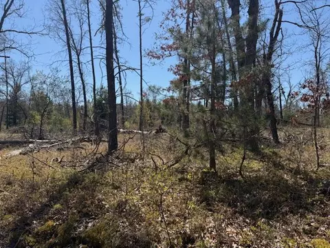 Vl Prarie, Idlewild, MI 49642