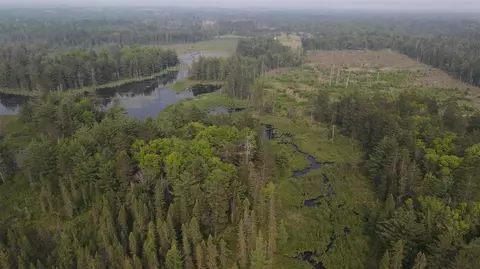 Parcel B Cherry Creek Trail, Grayling, MI 49738