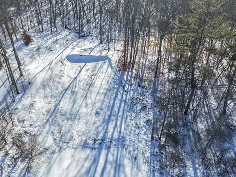 V/l Lilac Lane, Sheridan, MI 48884