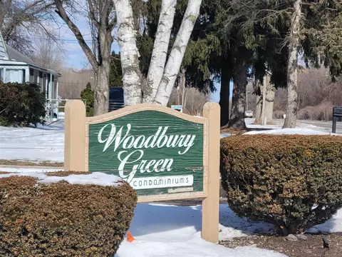 41276 N Woodbury Grn, Belleville, MI 48111