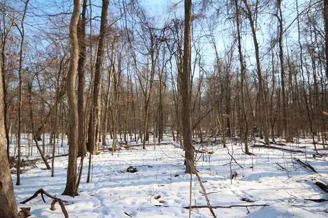 25395 Flach, Mendon, MI 49072 photo 30