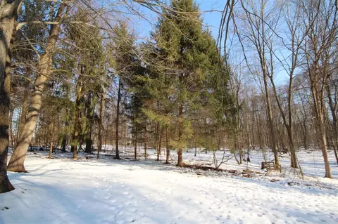 25395 Flach, Mendon, MI 49072 photo 28