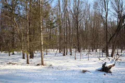 25395 Flach, Mendon, MI 49072 photo 29