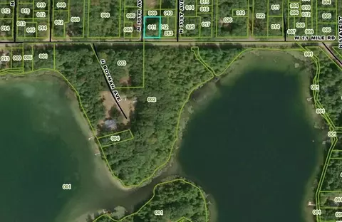 V/l W 11 Mile, Bitely, MI 49309