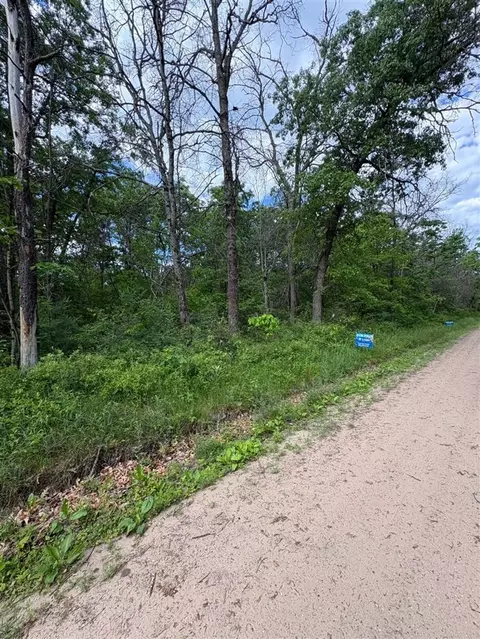 V/l E Lynndon, Idlewild, MI 49642