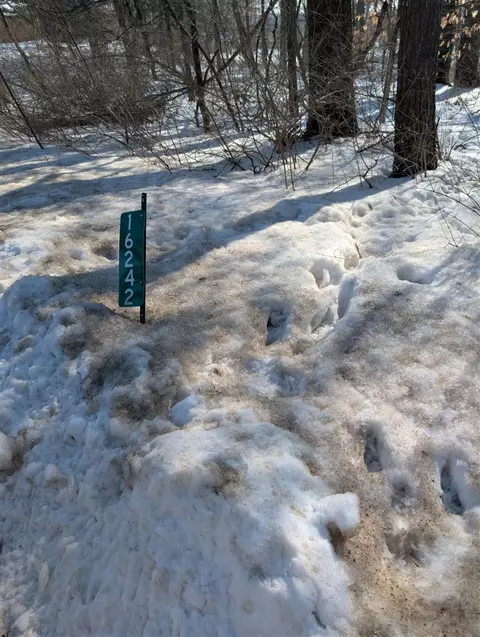 16242 Lake Michigan, West Olive, MI 49460