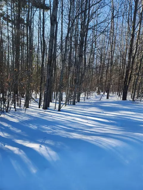 w starlight ridge, Onekama, MI 49675