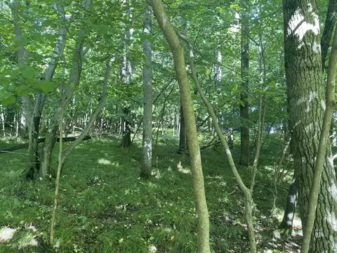12100 Belle Isle #369, Canadian Lakes, MI 49346