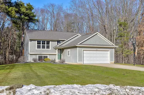 6919 Pinestead, Allendale, MI 49401