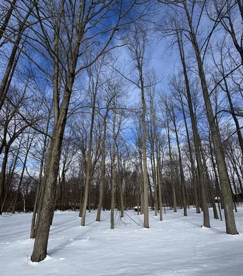 V/l Timberlane, Jones, MI 49061