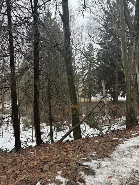 V/l Beechmont, Whitehall, MI 49461 photo 25