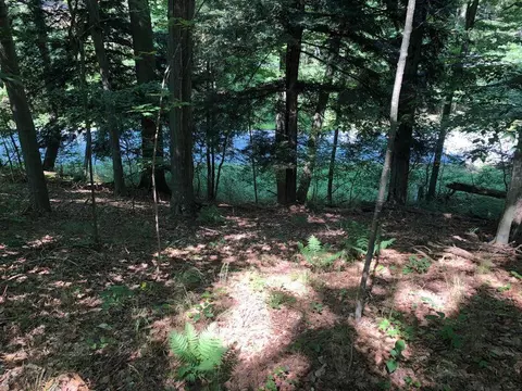 V/l Beechmont, Whitehall, MI 49461 photo 11