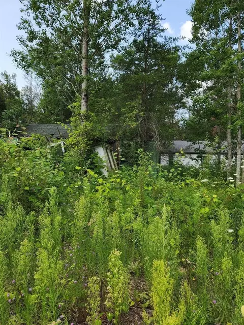 6935 S Pine Ctr, Idlewild, MI 49642