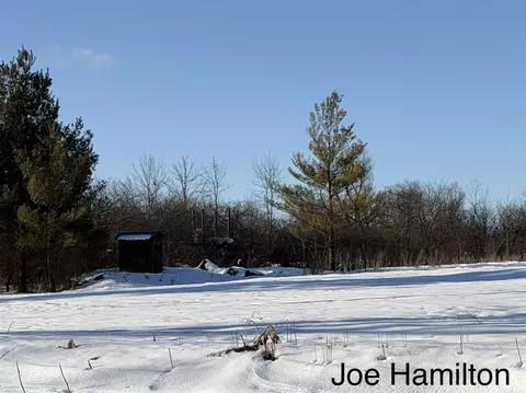 Other - 15734 Hall, Bailey, MI 49303 photo 8 of 8