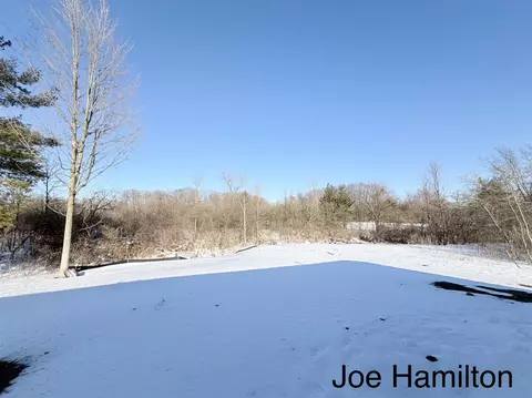 Exterior - 15734 Hall, Bailey, MI 49303 photo 7 of 9