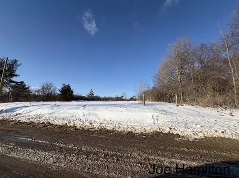 Exterior - 15734 Hall, Bailey, MI 49303 photo 4 of 9