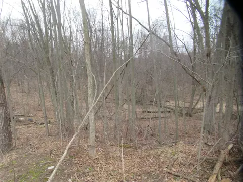 Williamsville, Cassopolis, MI 49031