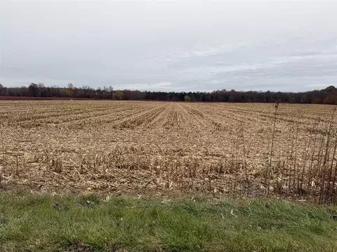 VL 2ac. County Road 687 #DIVISION 1, Bangor, MI 49013
