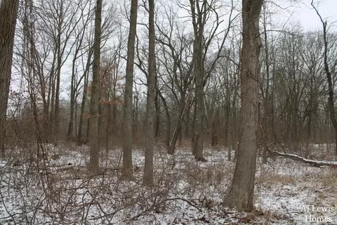 7998 4 Mile, Ada, MI 49301