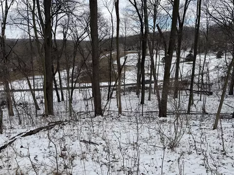 lot65 Hosford, Ionia, MI 48846