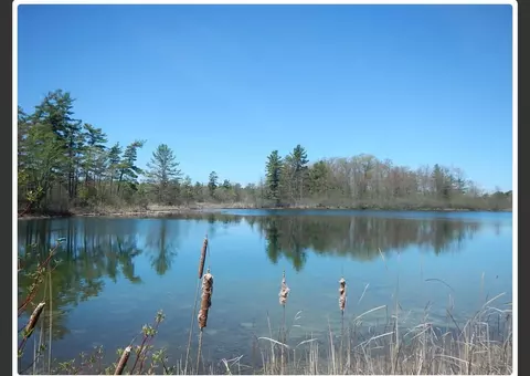 10345 Morgan Mls, Greenville, MI 48838