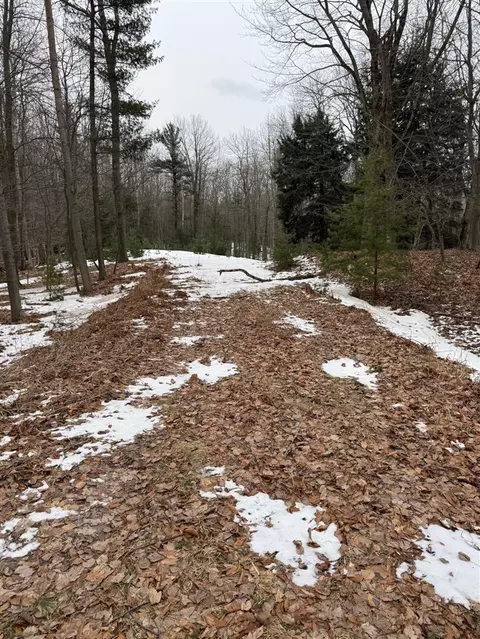 West Fox Farm Road, Manistee, MI 49660